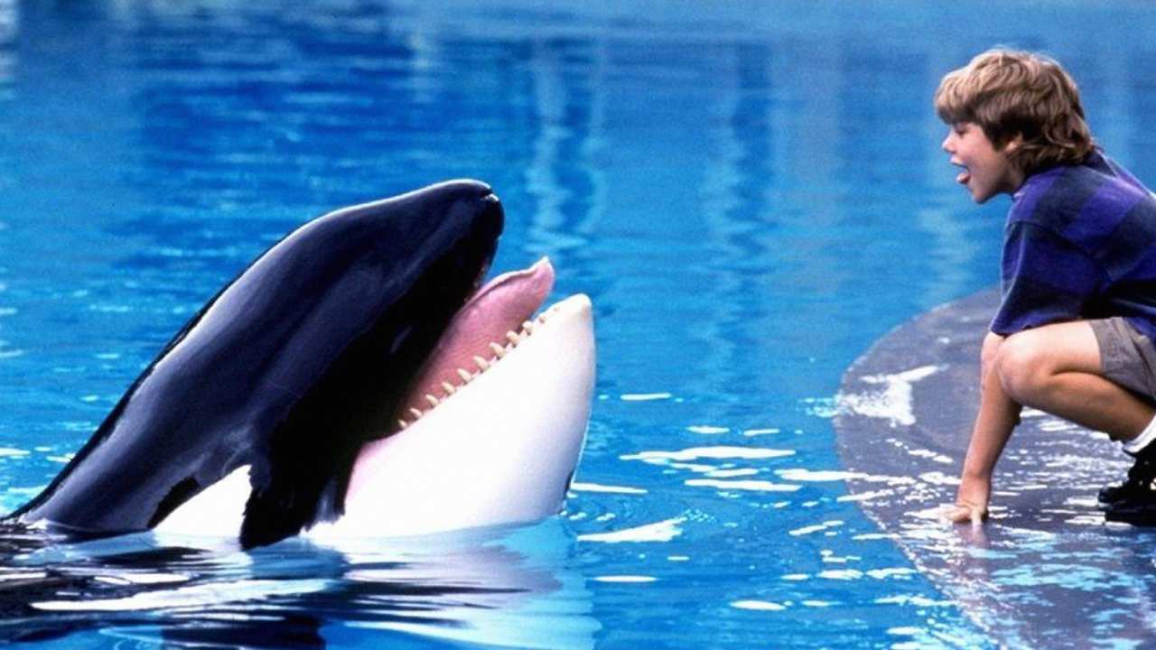 a whale and a boy